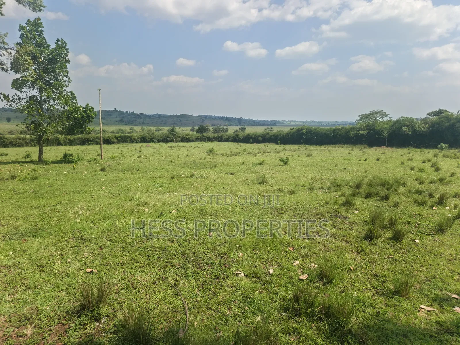 Farmland Seated on 14acres