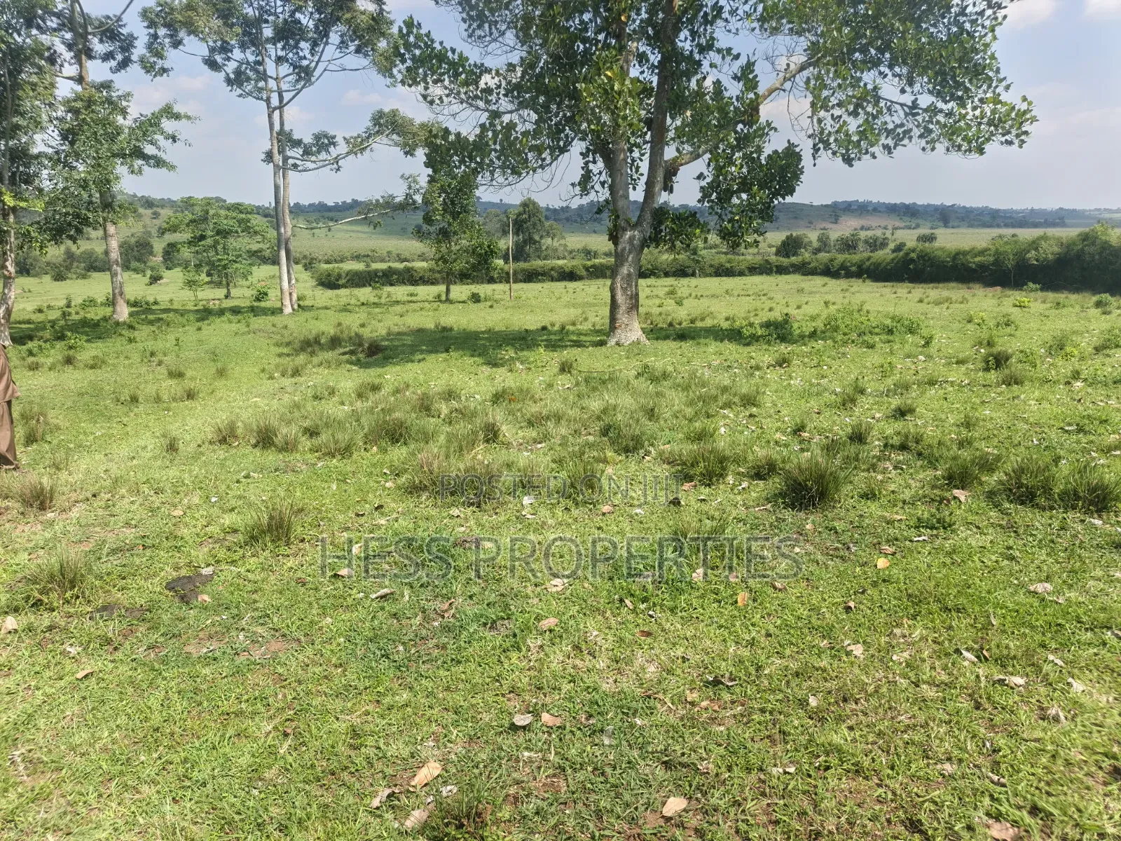 Farmland Seated on 14acres