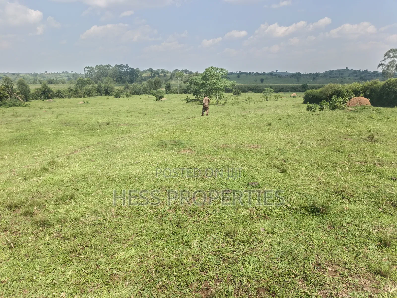 Farmland Seated on 14acres
