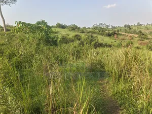 Titled Farmland Measuring 50acres on Sale Located in Kyenjojo District