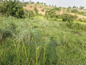 Titled Farmland Measuring 50acres on Sale Located in Kyenjojo District