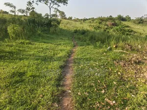 Titled Farmland Measuring 50acres on Sale Located in Kyenjojo District