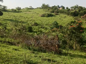 Titled Farmland Measuring 50acres on Sale Located in Kyenjojo District