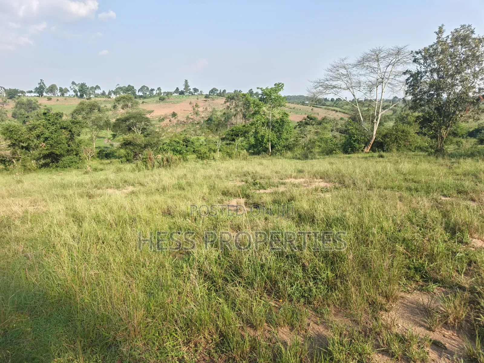Titled Farmland Measuring 50acres on Sale Located in Kyenjojo District