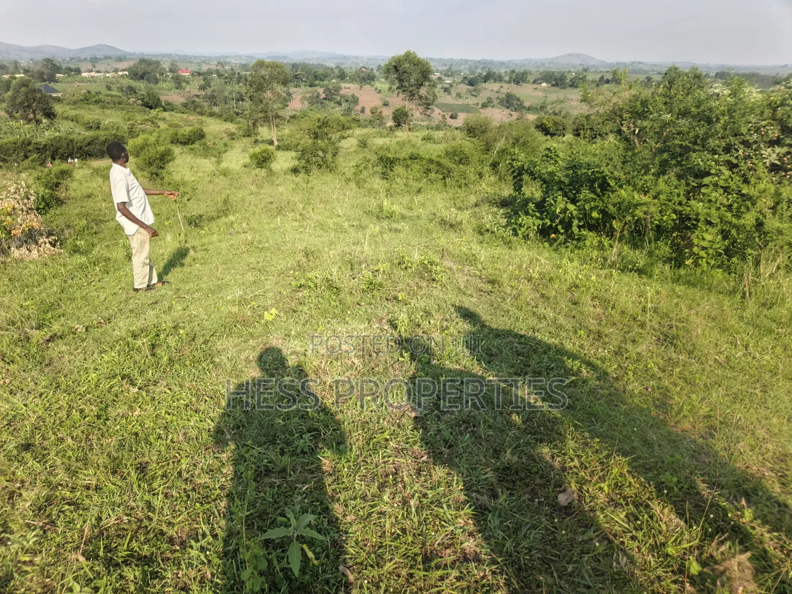 Titled Farmland Measuring 50acres on Sale Located in Kyenjojo District