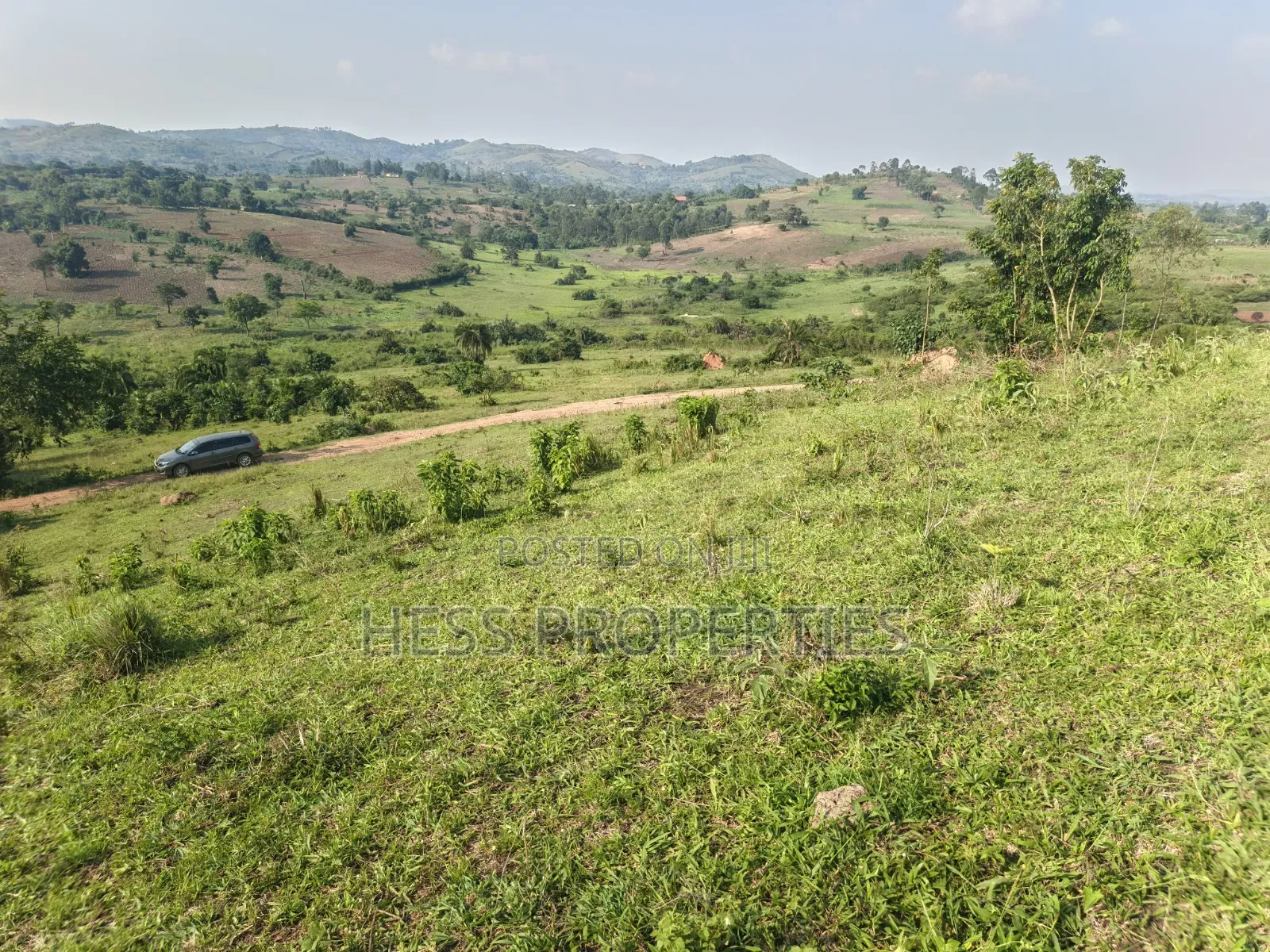 Titled Farmland Measuring 50acres on Sale Located in Kyenjojo District
