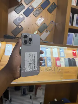 Apple iPhone 15 Pro Max 256 GB Gray