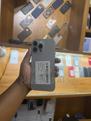Apple iPhone 15 Pro Max 256 GB Gray