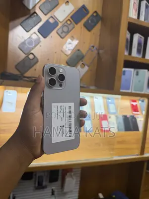 Apple iPhone 15 Pro Max 256 GB Gray
