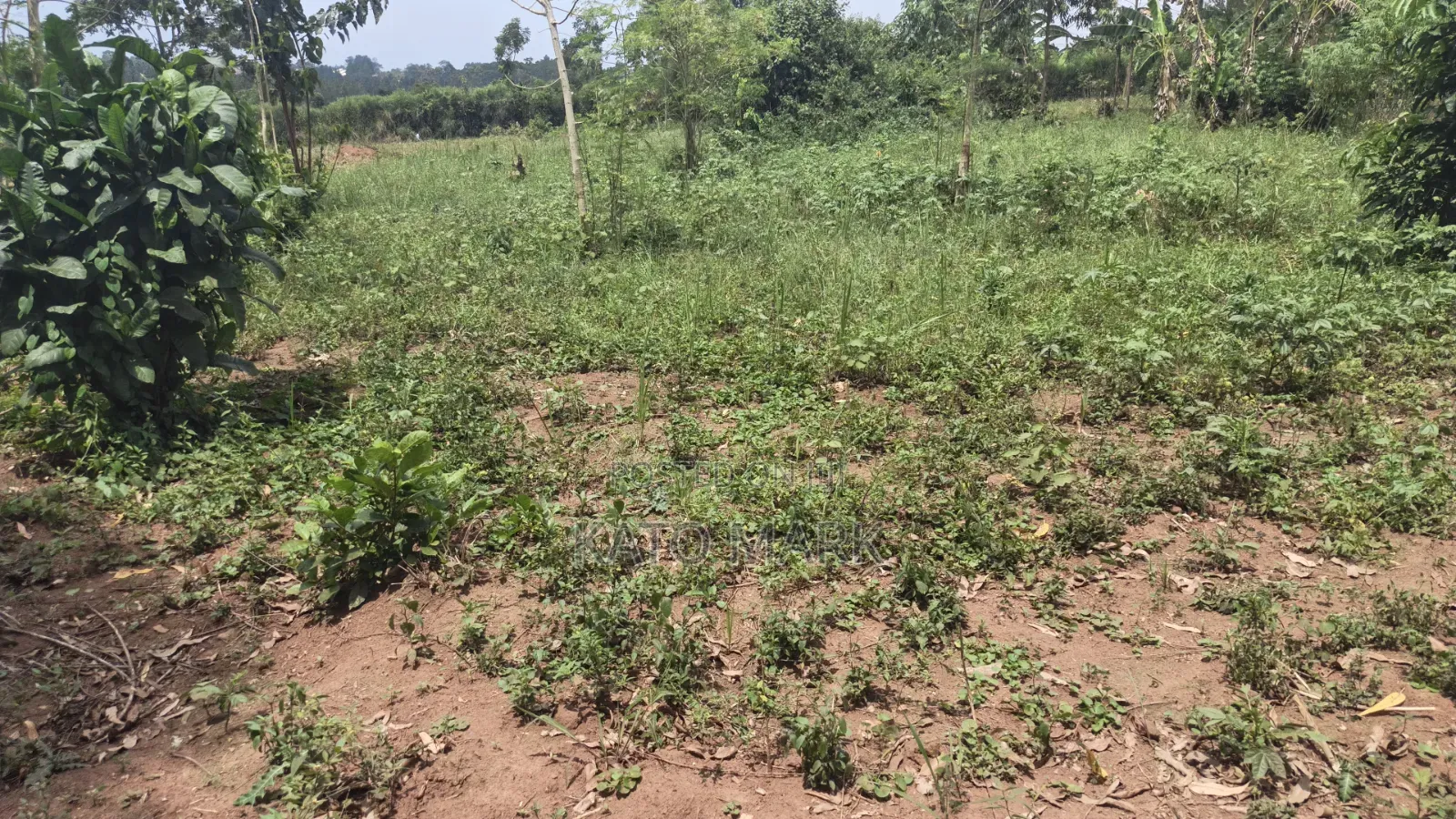 1 Acre for Sale Located at Bukerere Kasayi