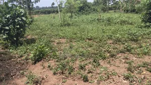 1 Acre for Sale Located at Bukerere Kasayi