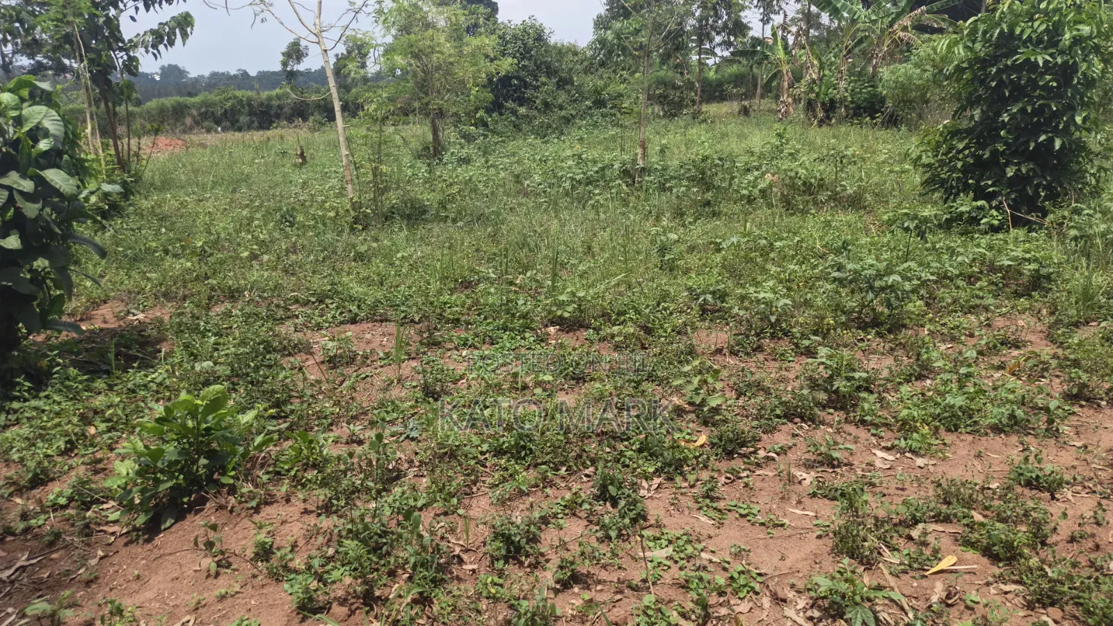 1 Acre for Sale Located at Bukerere Kasayi