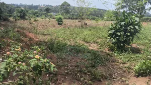 1 Acre for Sale Located at Bukerere Kasayi
