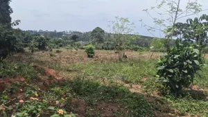 1 Acre for Sale Located at Bukerere Kasayi