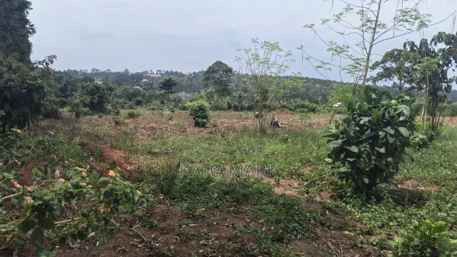 1 Acre for Sale Located at Bukerere Kasayi