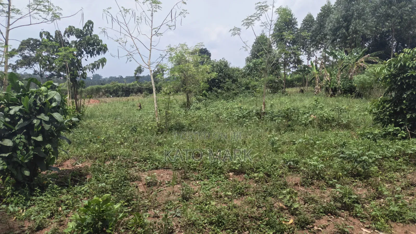1 Acre for Sale Located at Bukerere Kasayi