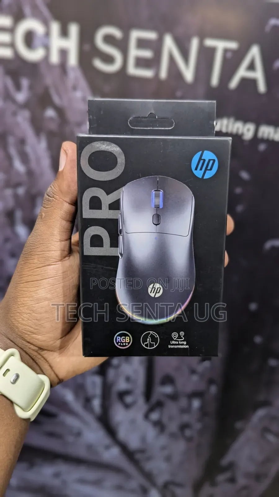 HP Pro Mouse Wireless