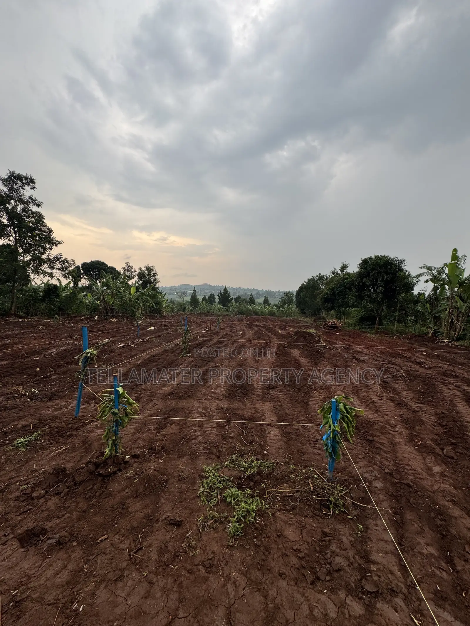 New Nakifuma-Kakinzi Estate 50*50ft and 50*100 Plots Kabaka Land