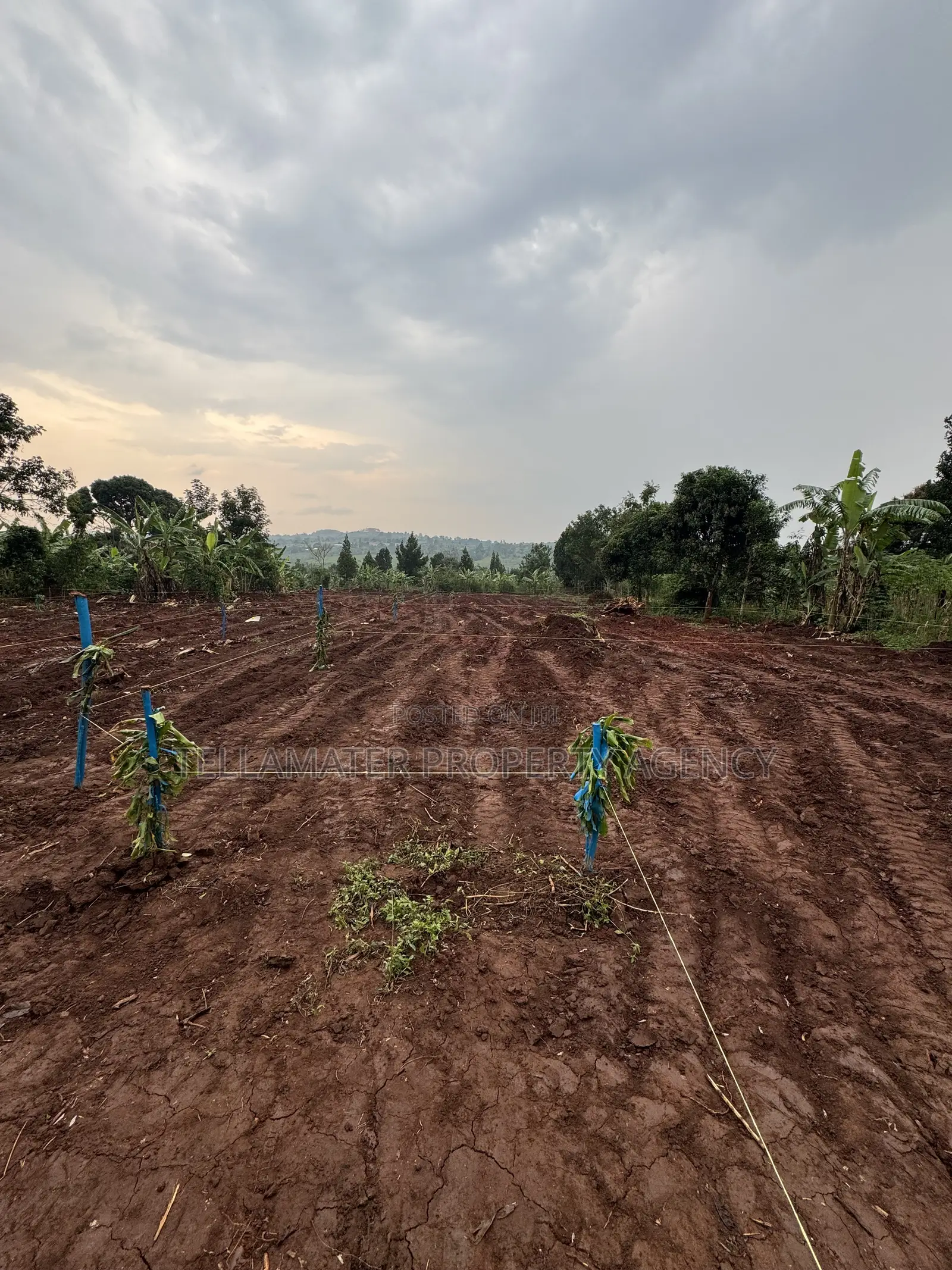 New Nakifuma-Kakinzi Estate 50*50ft and 50*100 Plots Kabaka Land