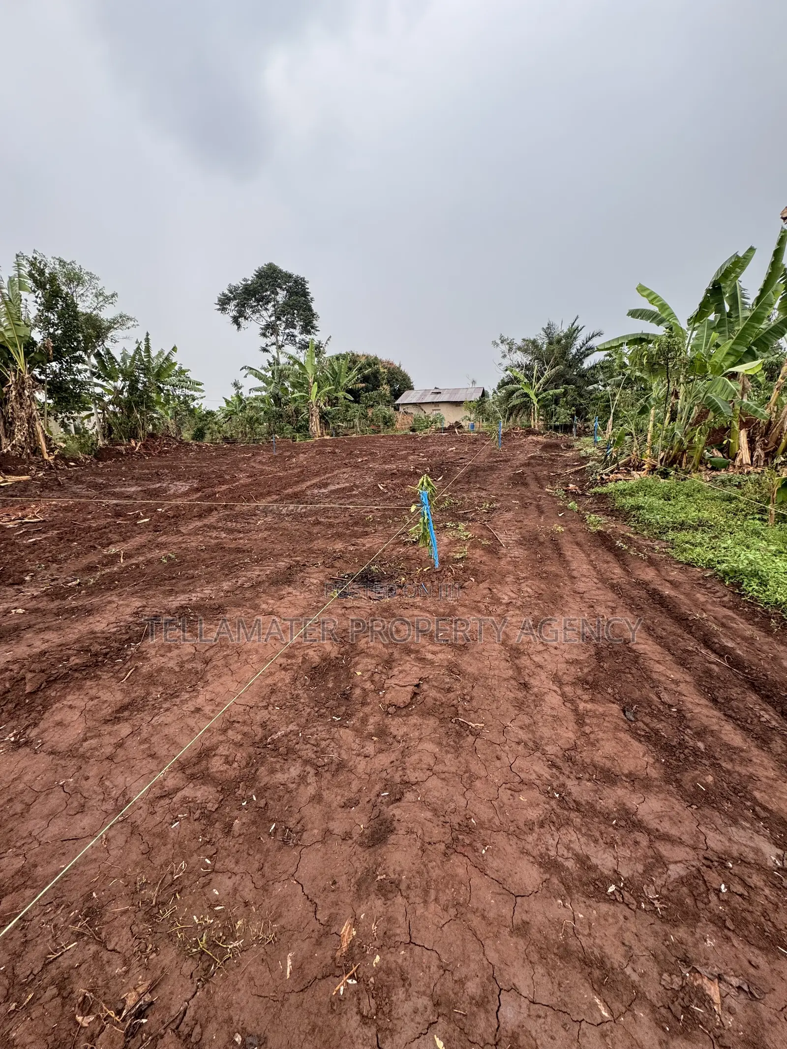 New Nakifuma-Kakinzi Estate 50*50ft and 50*100 Plots Kabaka Land