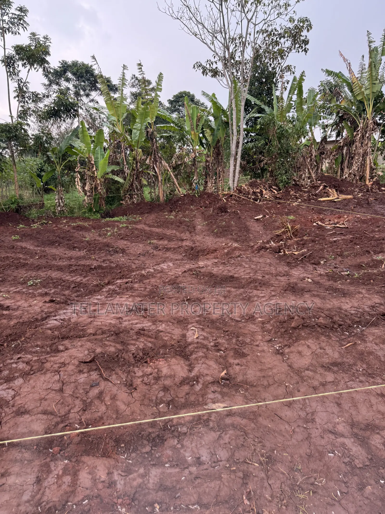 New Nakifuma-Kakinzi Estate 50*50ft and 50*100 Plots Kabaka Land