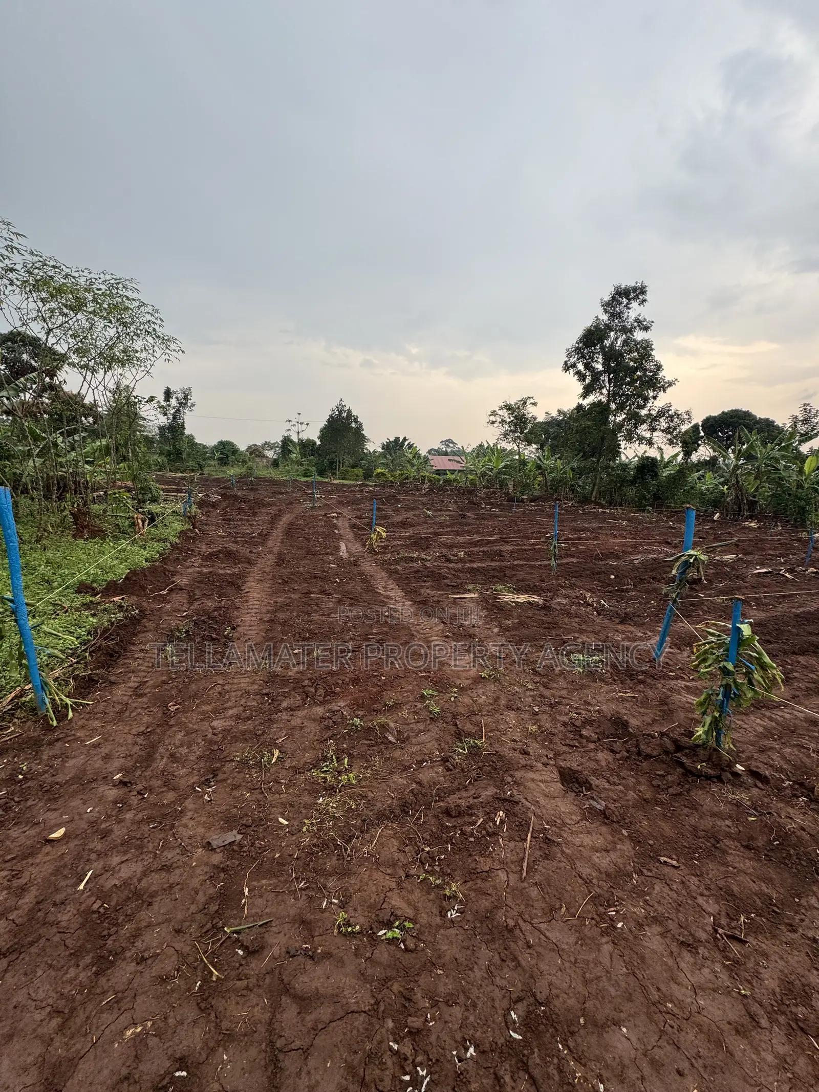 New Nakifuma-Kakinzi Estate 50*50ft and 50*100 Plots Kabaka Land