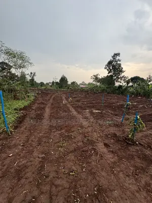 New Nakifuma-Kakinzi Estate 50*50ft and 50*100 Plots Kabaka Land