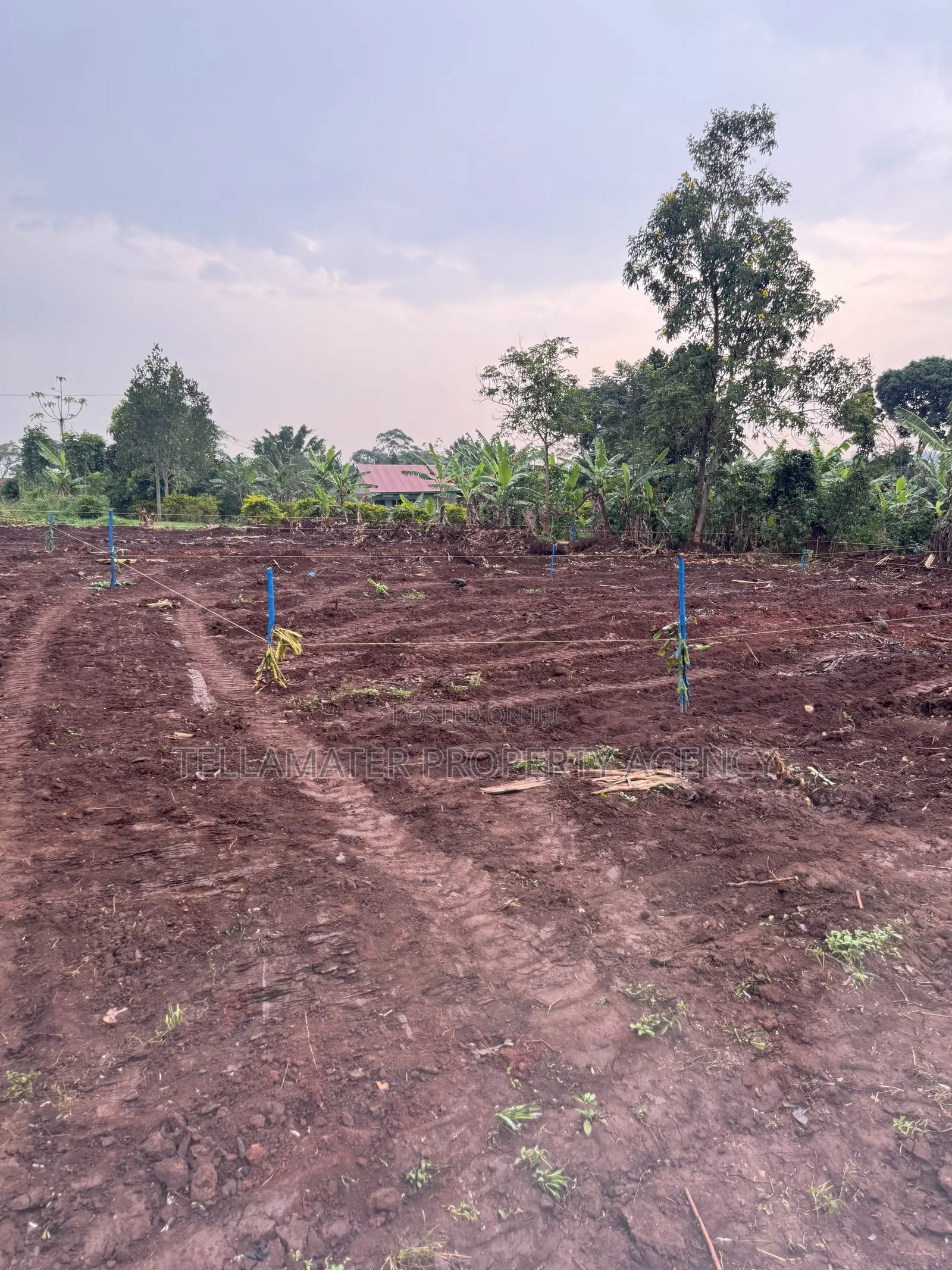 New Nakifuma-Kakinzi Estate 50*50ft and 50*100 Plots Kabaka Land