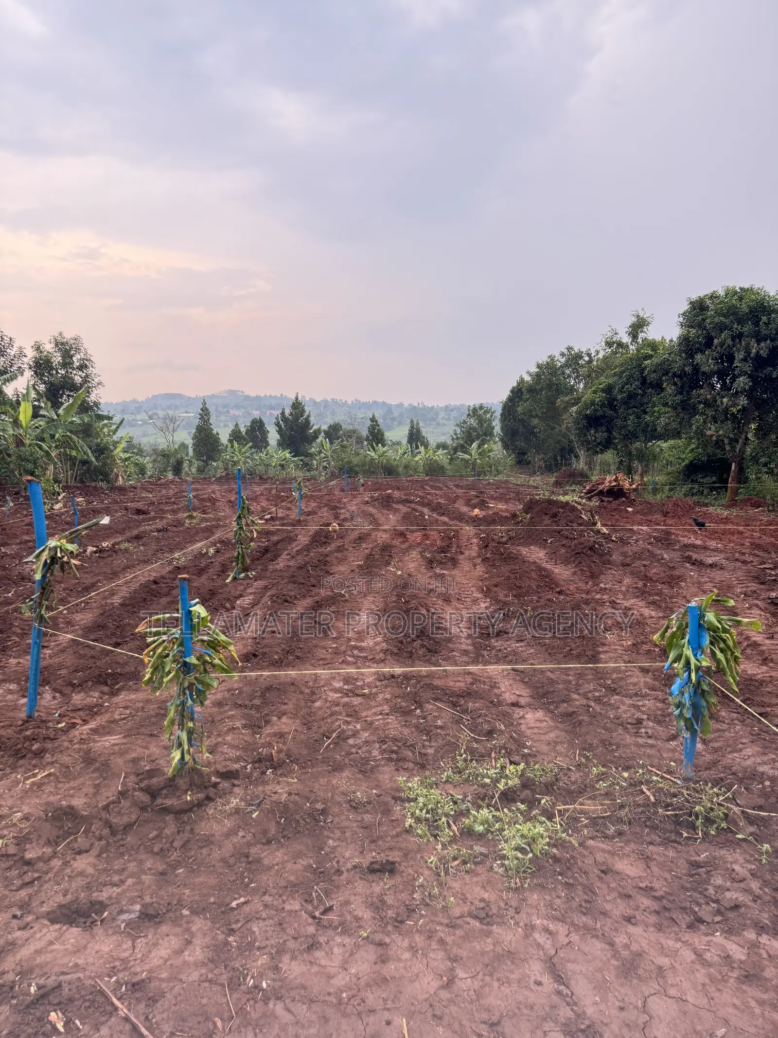 New Nakifuma-Kakinzi Estate 50*50ft and 50*100 Plots Kabaka Land