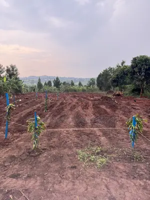 New Nakifuma-Kakinzi Estate 50*50ft and 50*100 Plots Kabaka Land