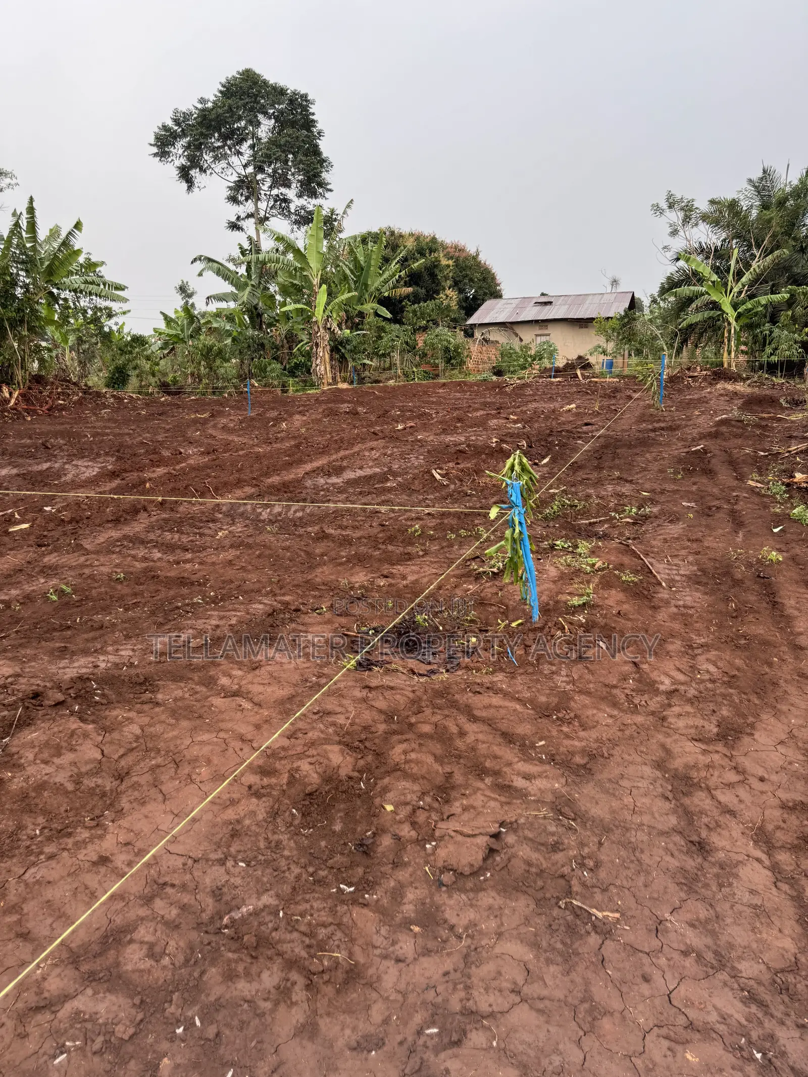 New Nakifuma-Kakinzi Estate 50*50ft and 50*100 Plots Kabaka Land