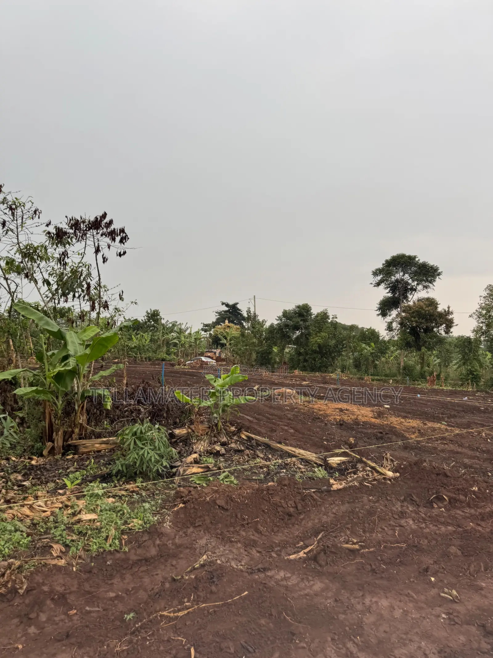 New Nakifuma-Kakinzi Estate 50*50ft and 50*100 Plots Kabaka Land