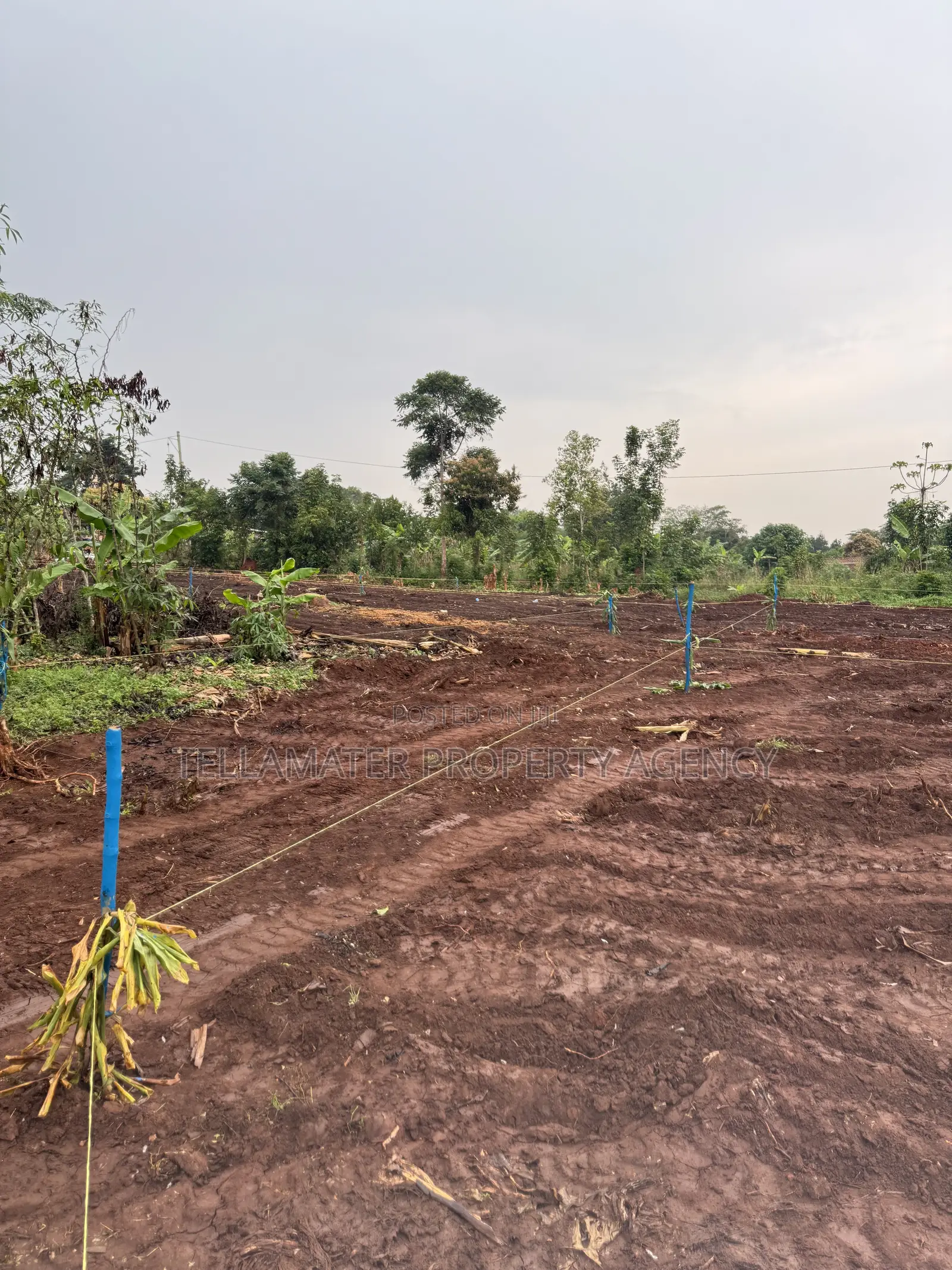 New Nakifuma-Kakinzi Estate 50*50ft and 50*100 Plots Kabaka Land