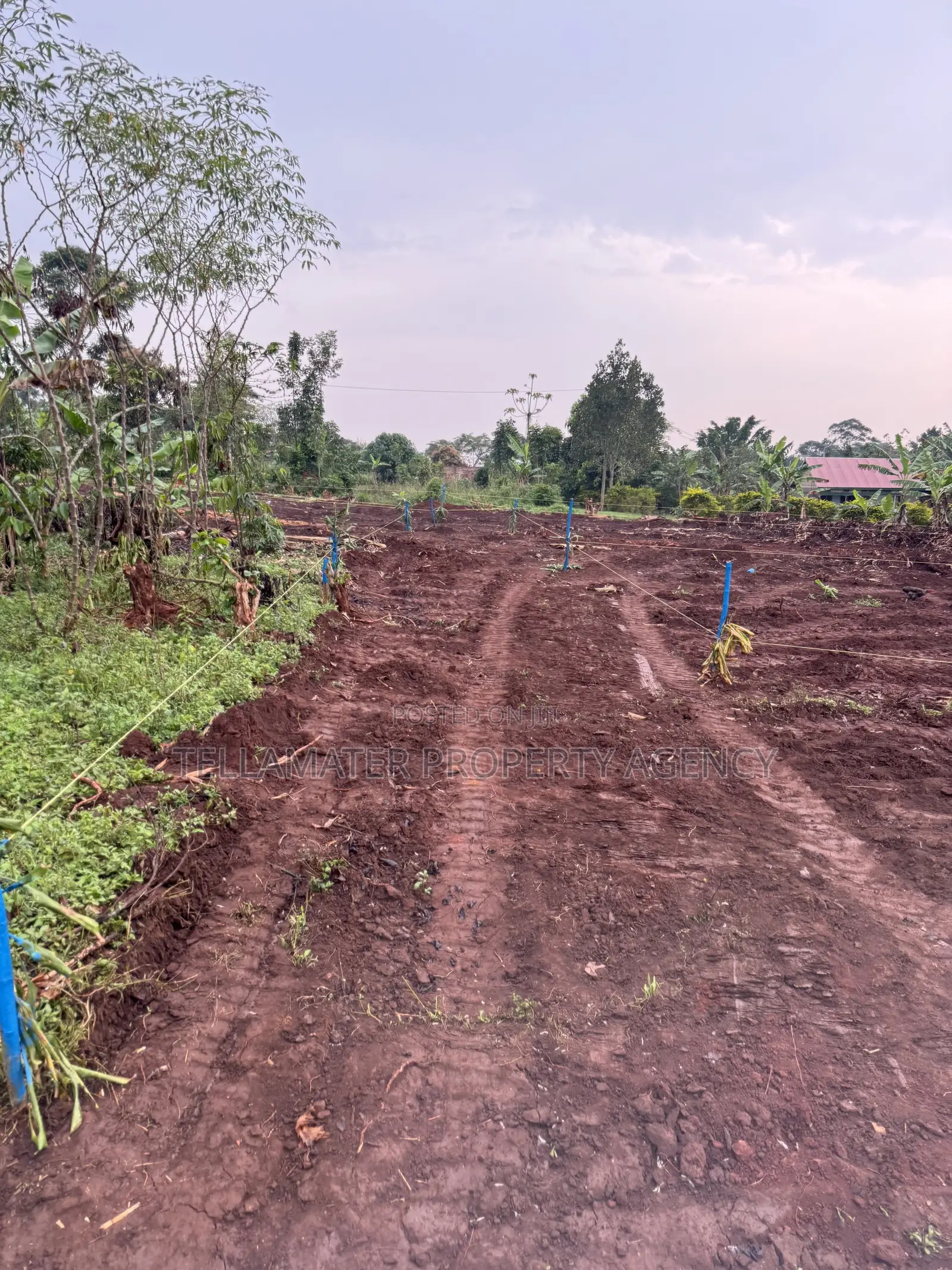 New Nakifuma-Kakinzi Estate 50*50ft and 50*100 Plots Kabaka Land