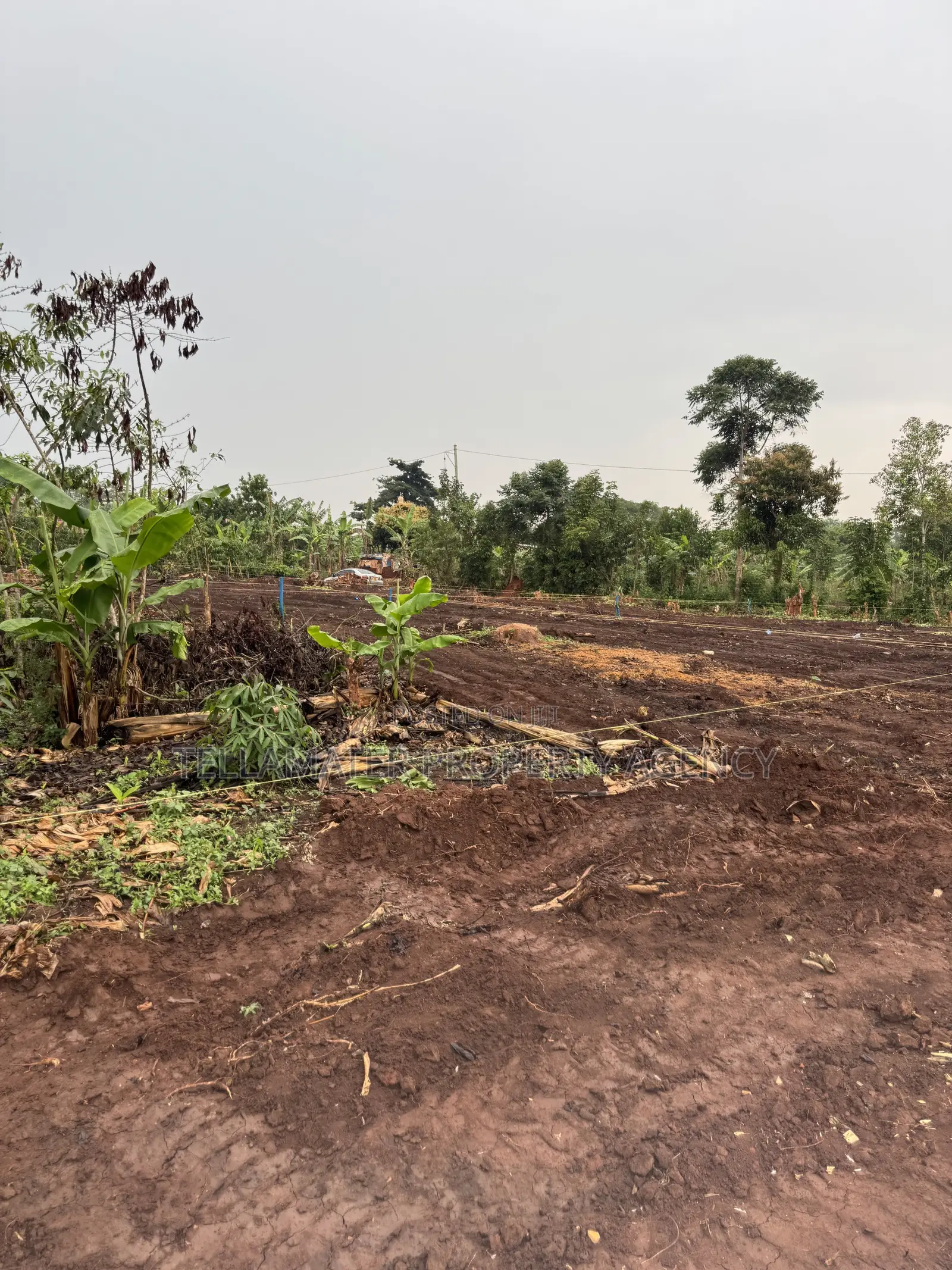 New Nakifuma-Kakinzi Estate 50*50ft and 50*100 Plots Kabaka Land