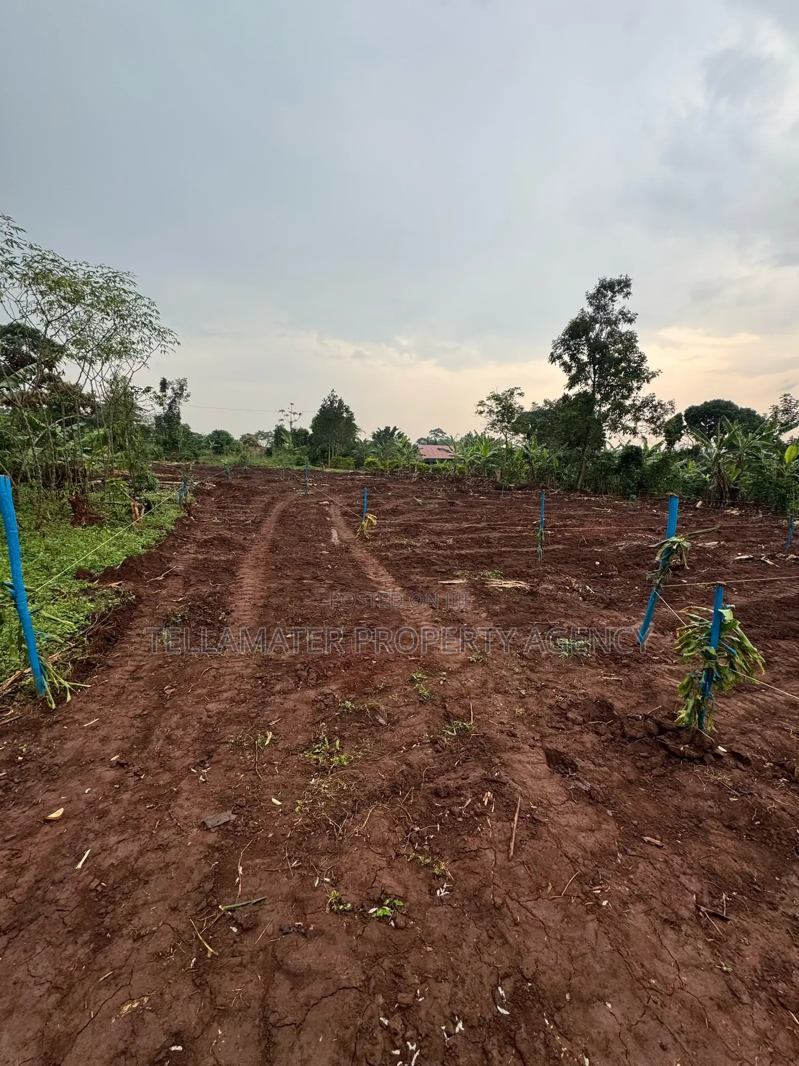New Nakifuma-Kakinzi Estate 50*50ft and 50*100 Plots Kabaka Land