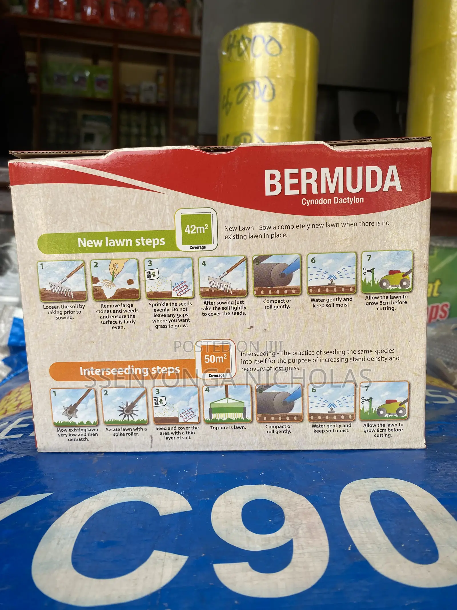 Bermuda_compound Grass_500gms