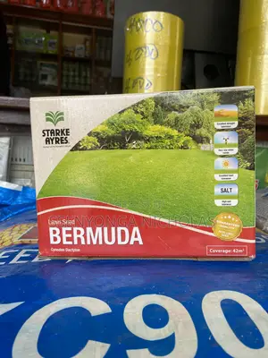 Bermuda_compound Grass_500gms