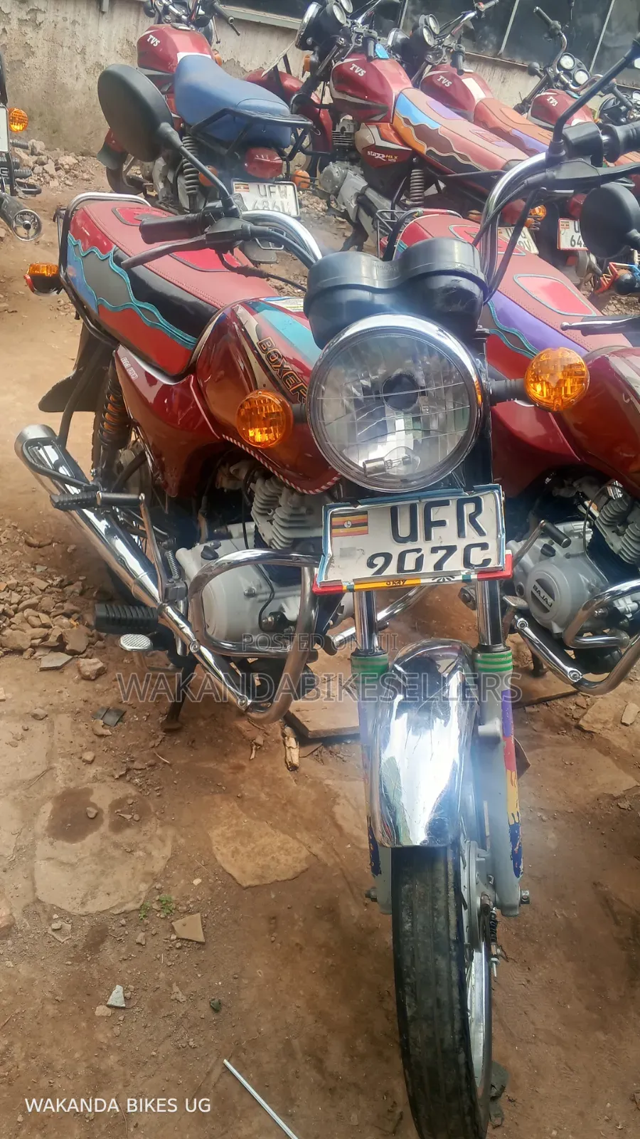 Bajaj Boxer 100 2023 Red