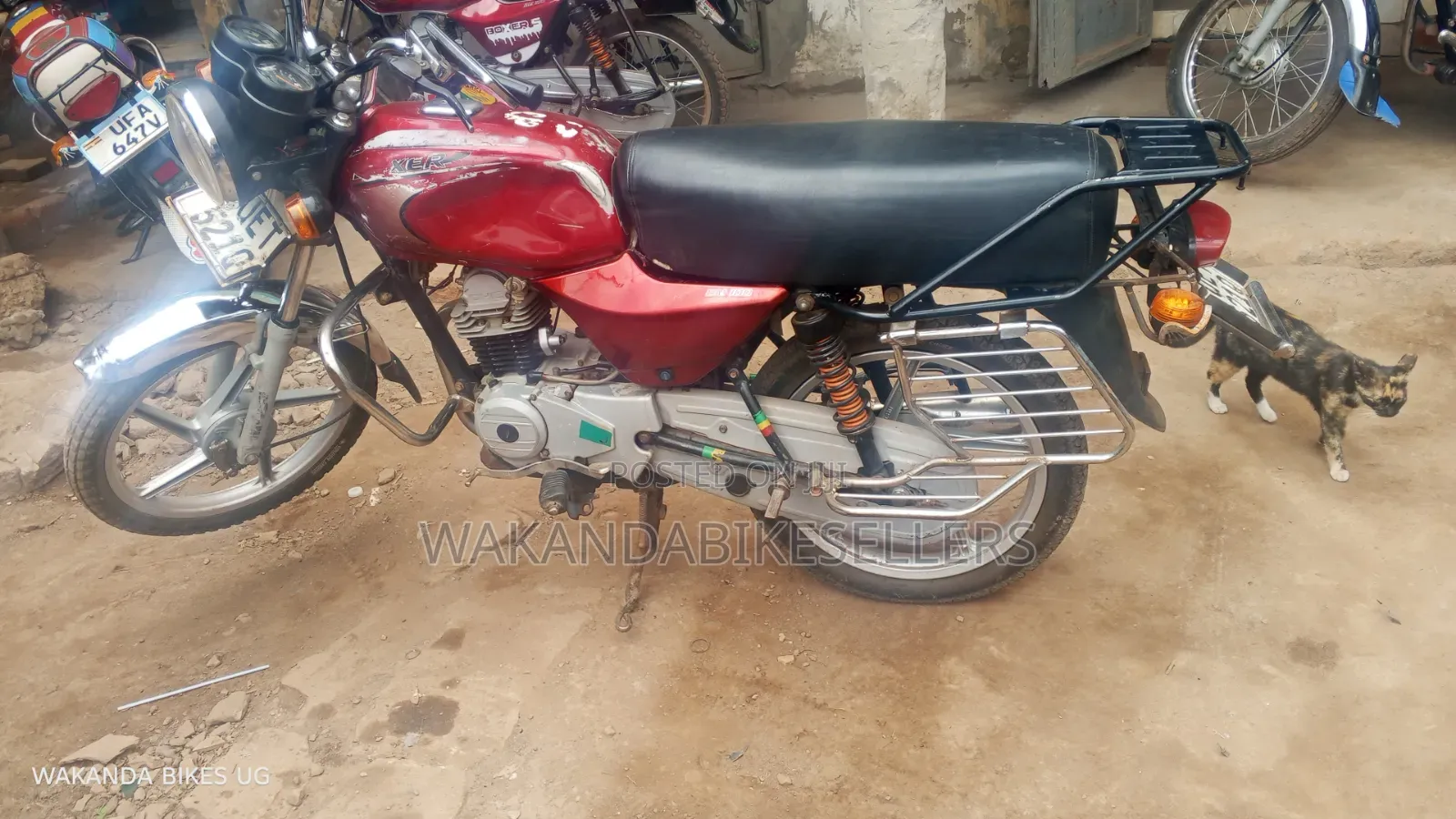 Bajaj Boxer 100 2022 Red