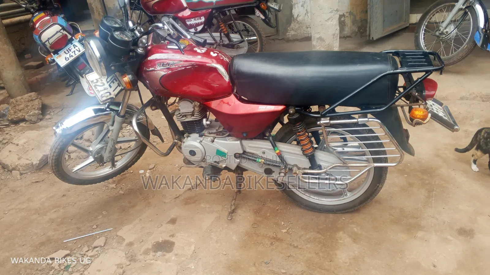 Bajaj Boxer 100 2022 Red