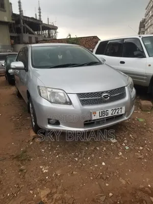 Toyota Corolla Fielder 2009 Silver