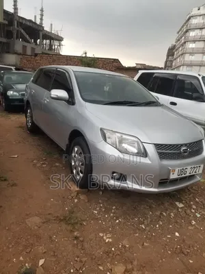 Toyota Corolla Fielder 2009 Silver