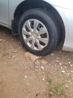Toyota Corolla Fielder 2009 Silver