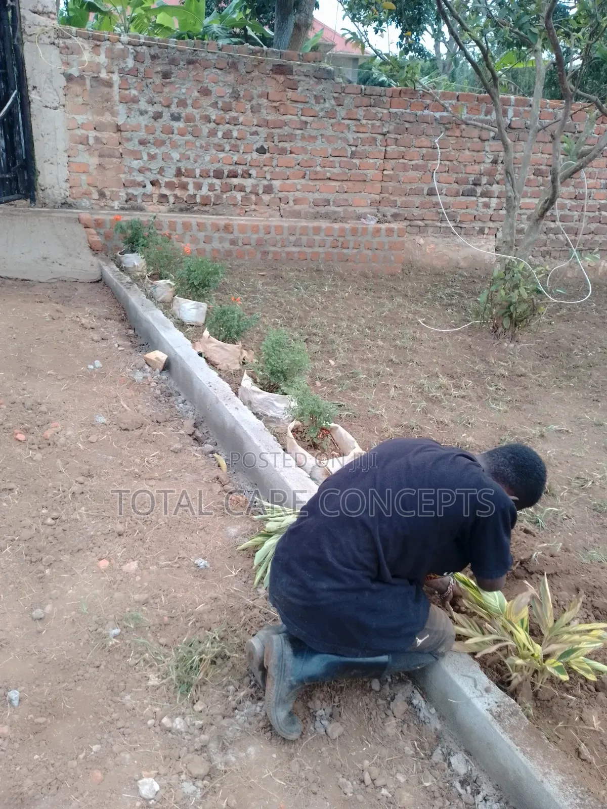 Best Gardeners and Landscapers