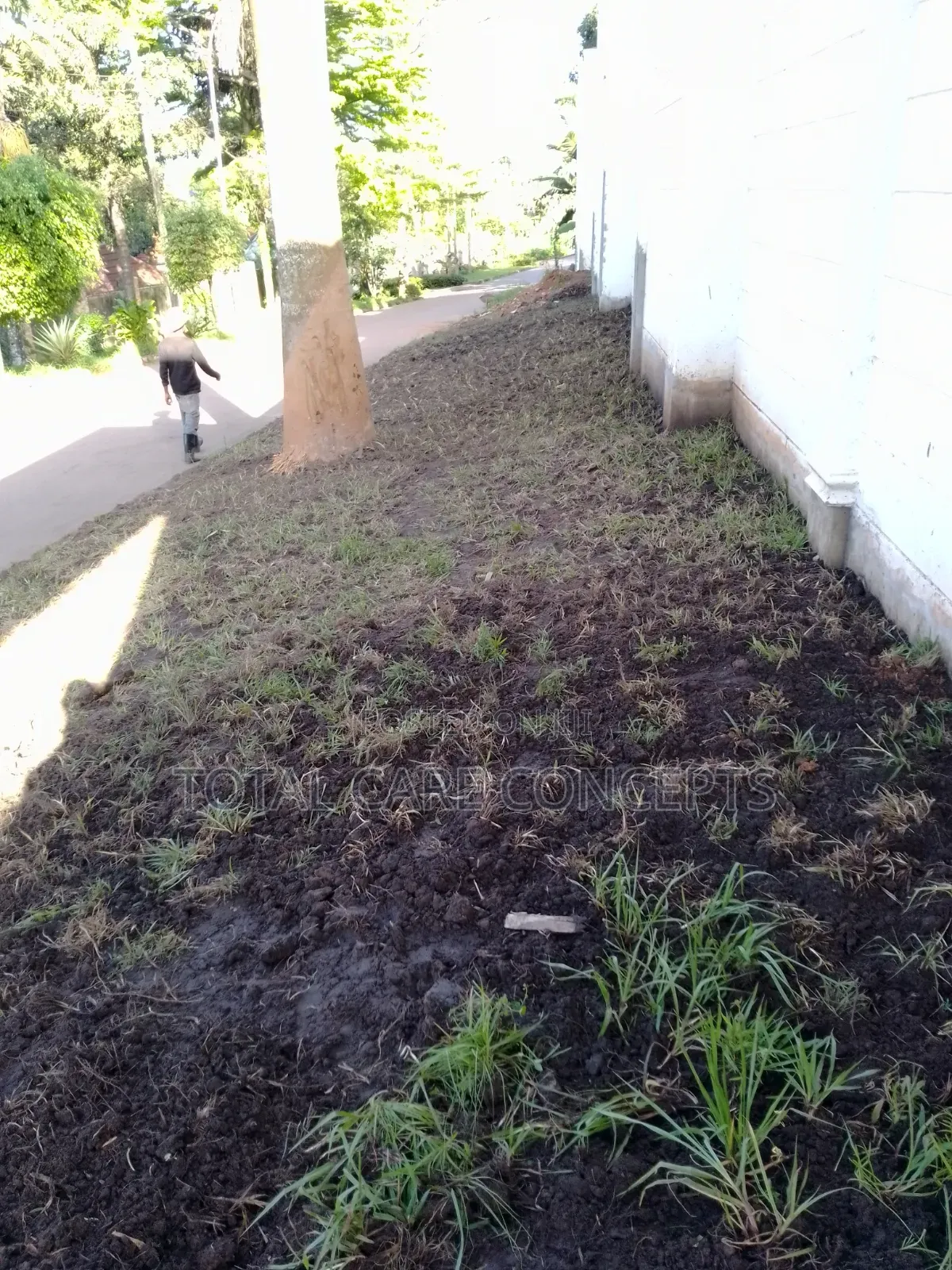 Best Gardeners and Landscapers