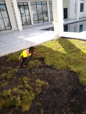 Best Gardeners and Landscapers
