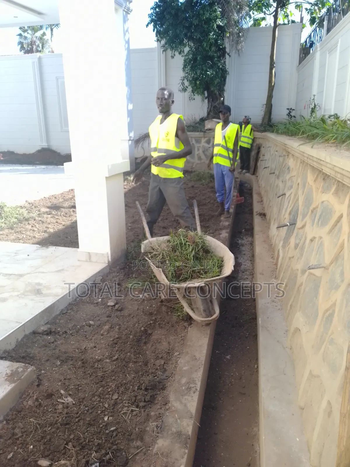 Best Gardeners and Landscapers