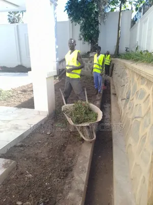 Best Gardeners and Landscapers