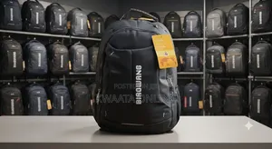 BIAOWANG Laptop Backpack –16inch Multi-Compartment Travel School Bag